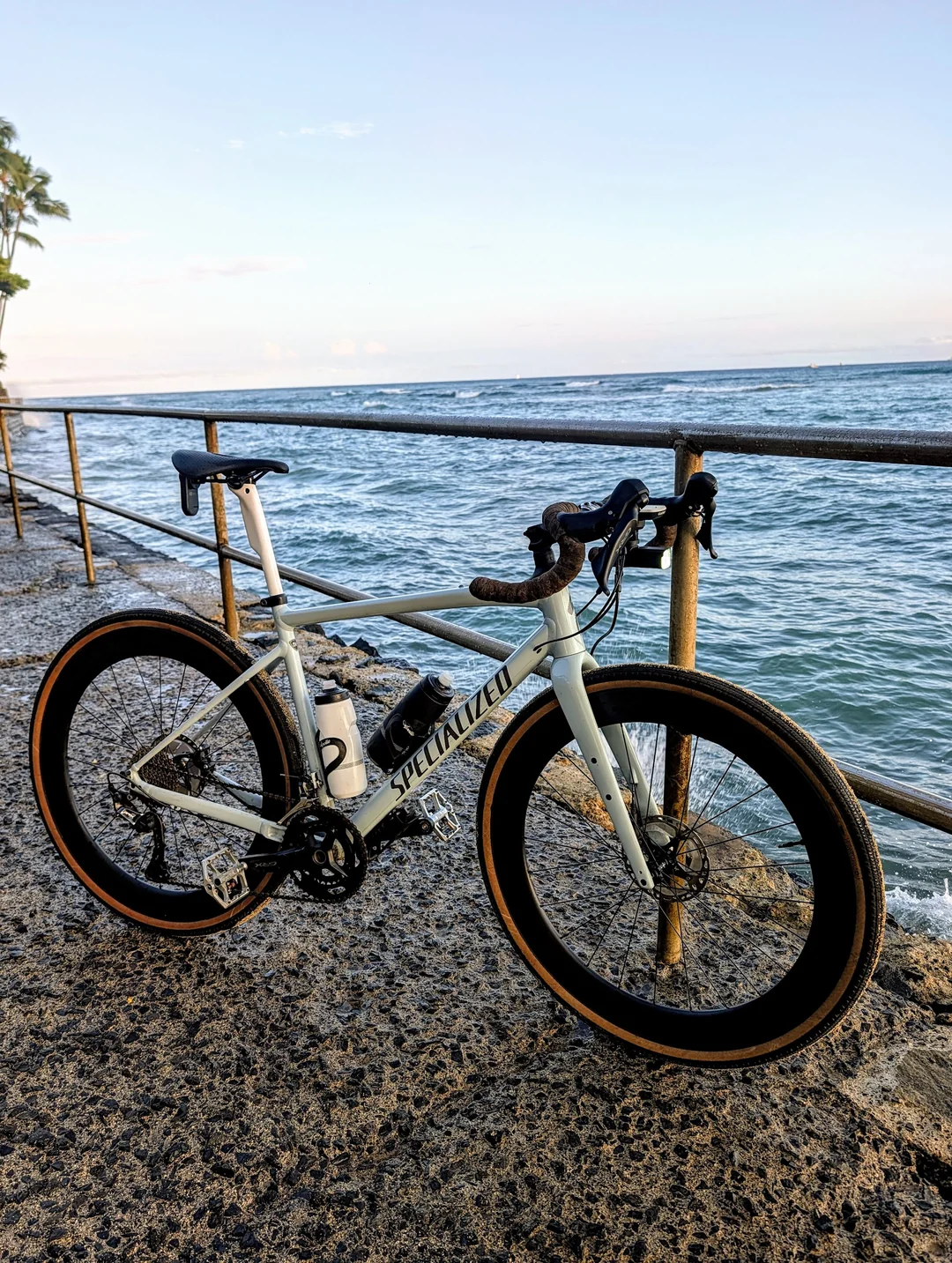 Specialized with 10PLUS road wheels, 60mm