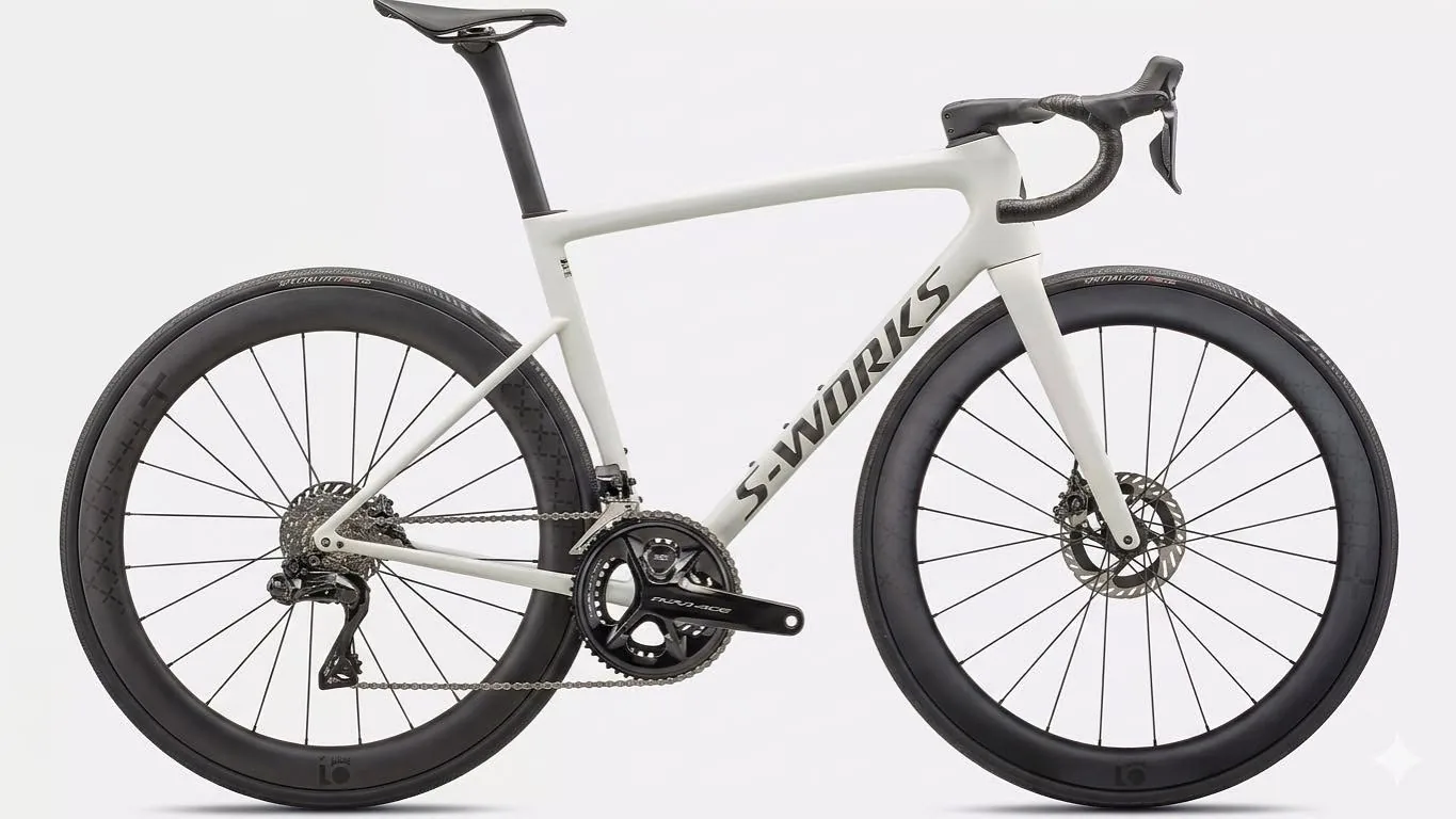Specialized S-Works with 10PLUS road wheels